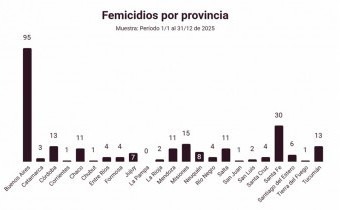 La Defensoría del Pueblo de la Nación registró 247 femicidios en 2025